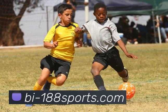 188体育官网入口平台生态图